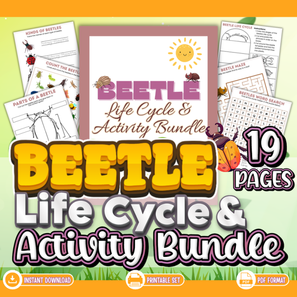 Beetle Life Cycle & Activity Bundle – 30‑Page Early Learning Pack