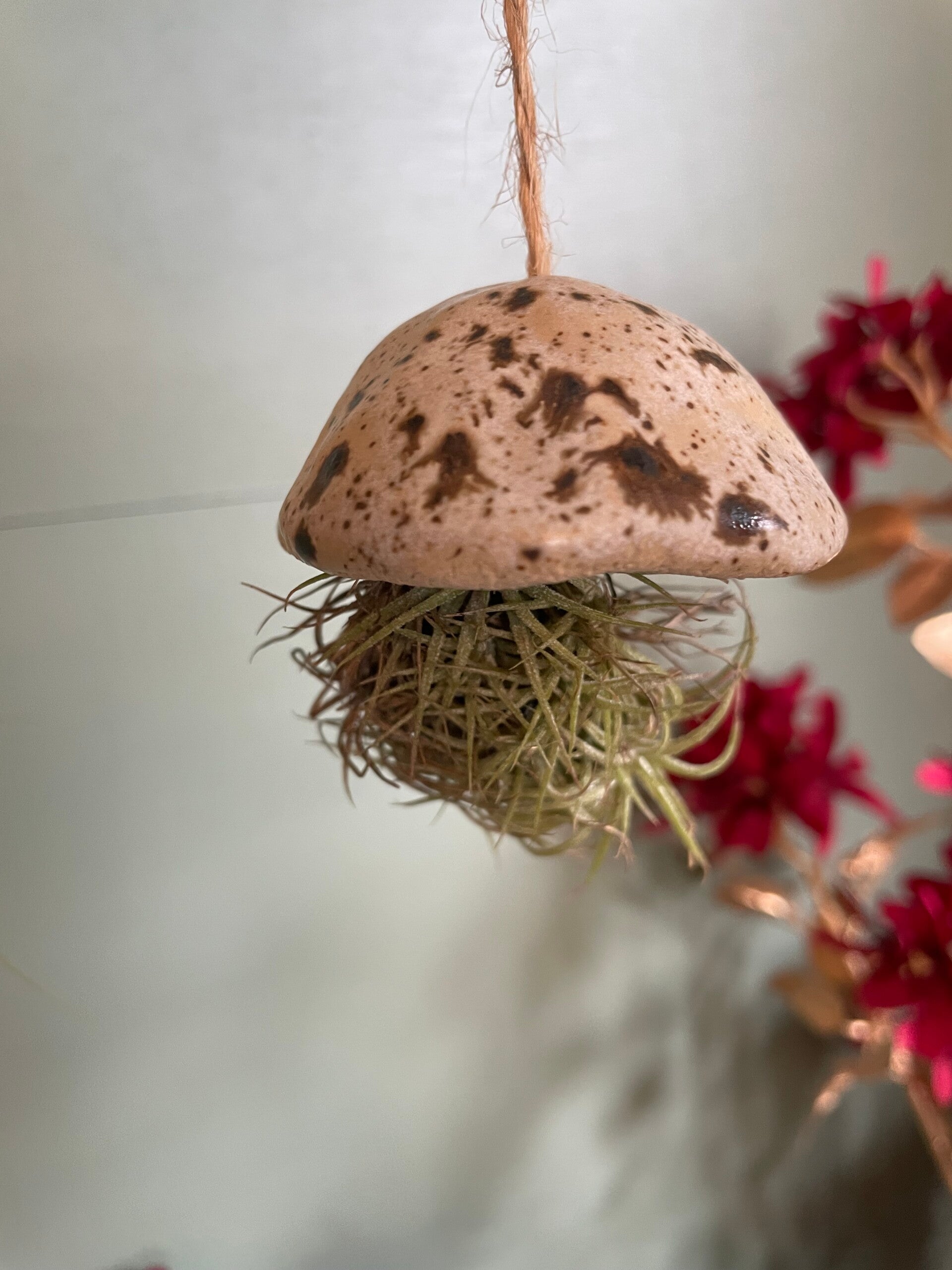 Zee-egel met lucht plantje #3