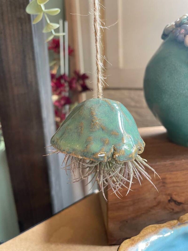 Zee-egel met lucht plantje #8