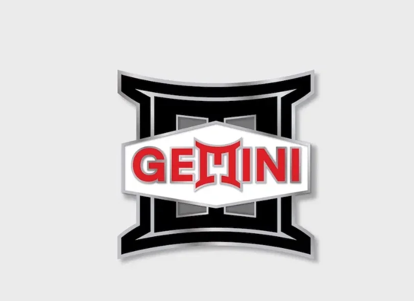 Gemini logo pin