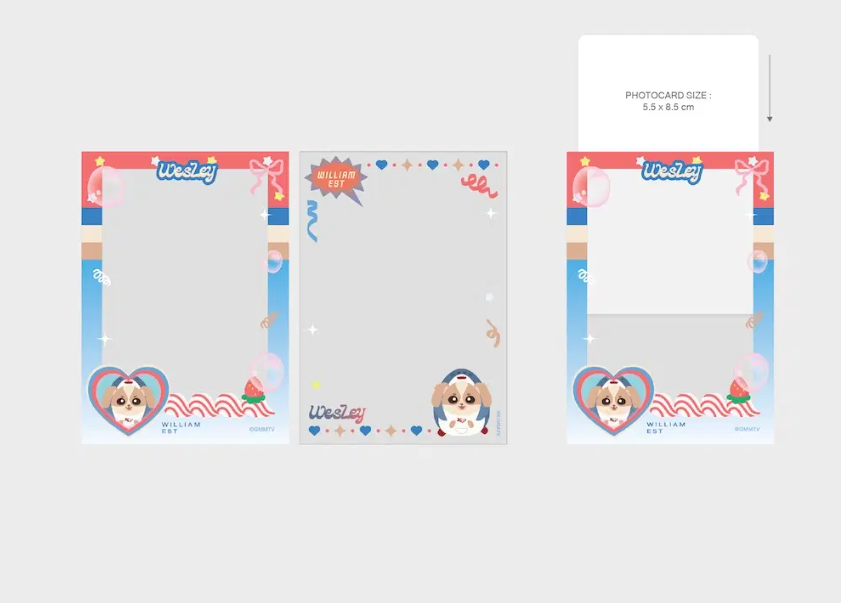 Wesley photocard sleeves
