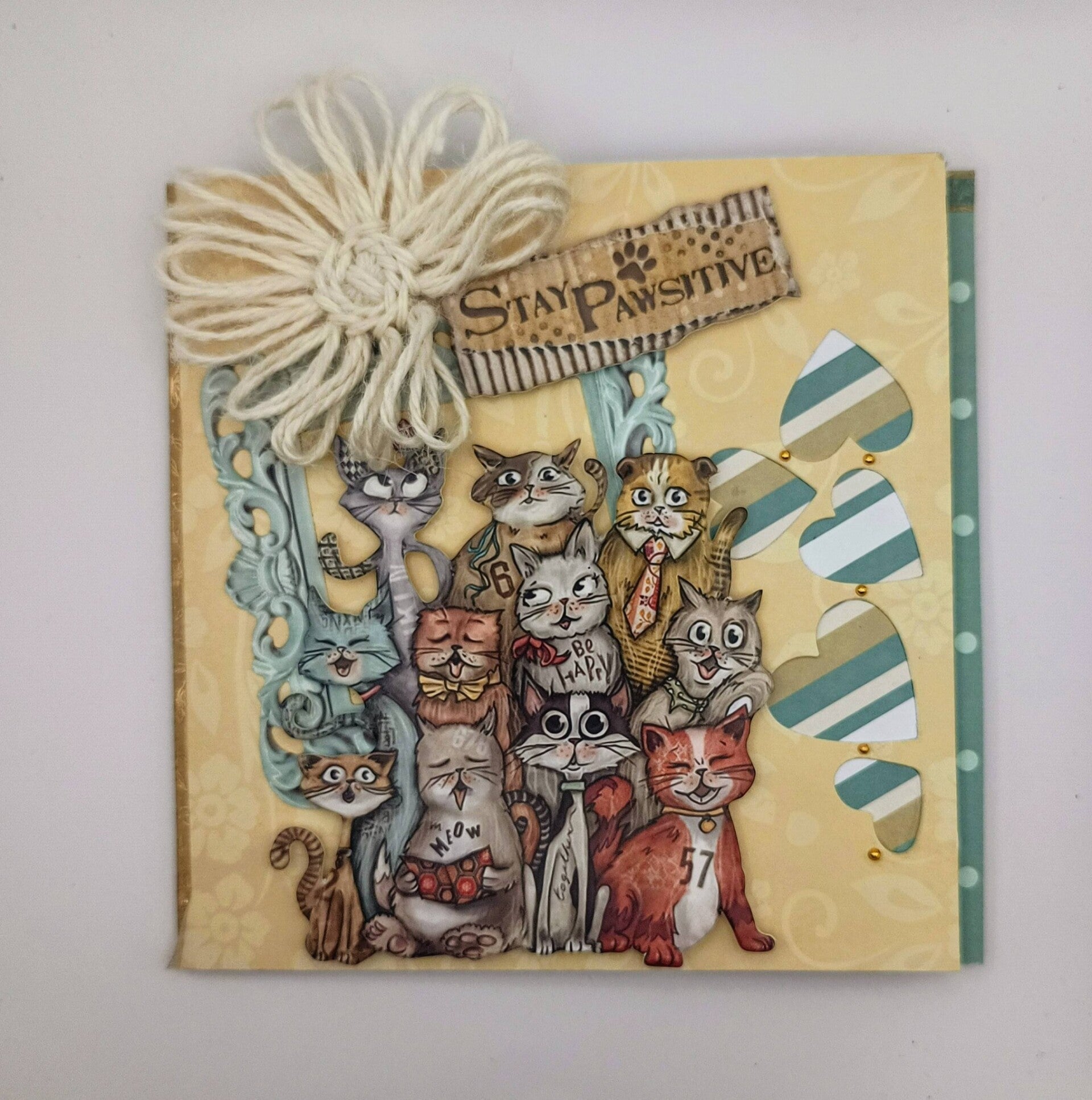 🐶🐱 Zanimos en folie !