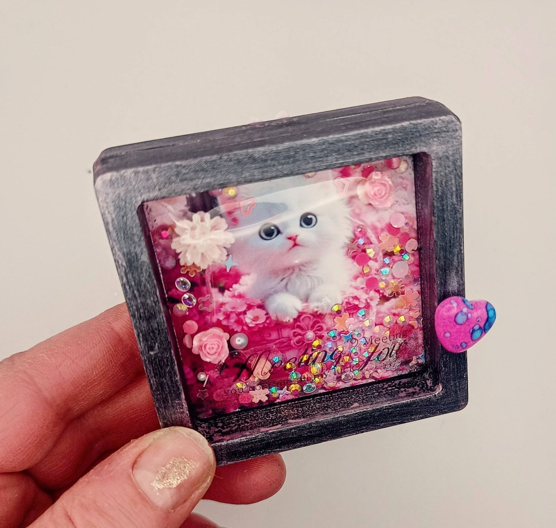 Chat blanc trop mignon.