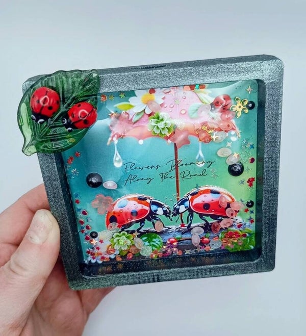 Les Coccinelles.