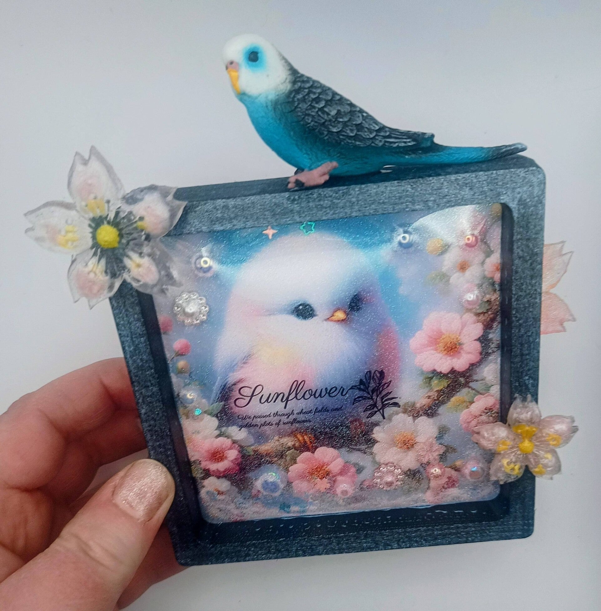 L'oiseau bleu.