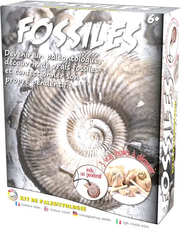 Paleo kit: Fossielen