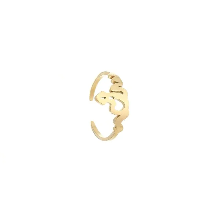 Verstelbare ring fantasie