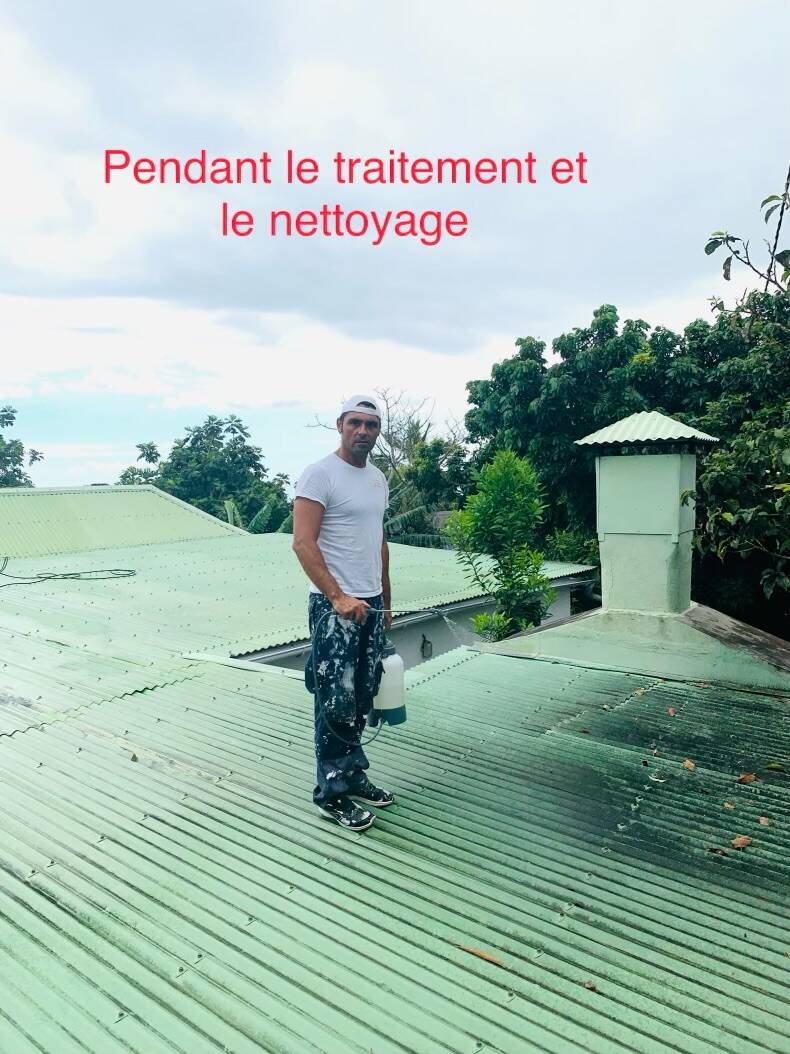 nettoyage toiture à la Réunion