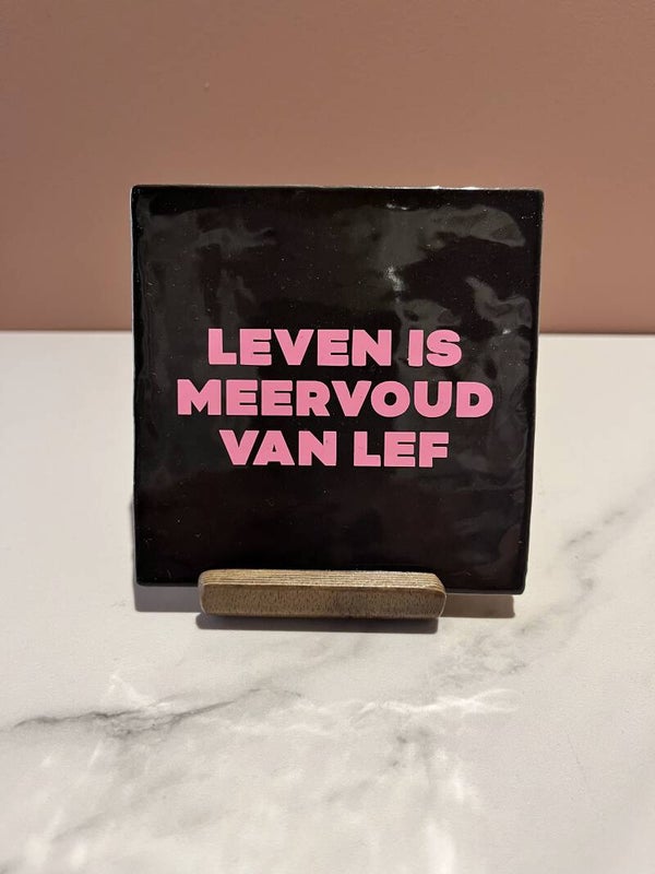 Tegel 'Leven is meervouw van lef'