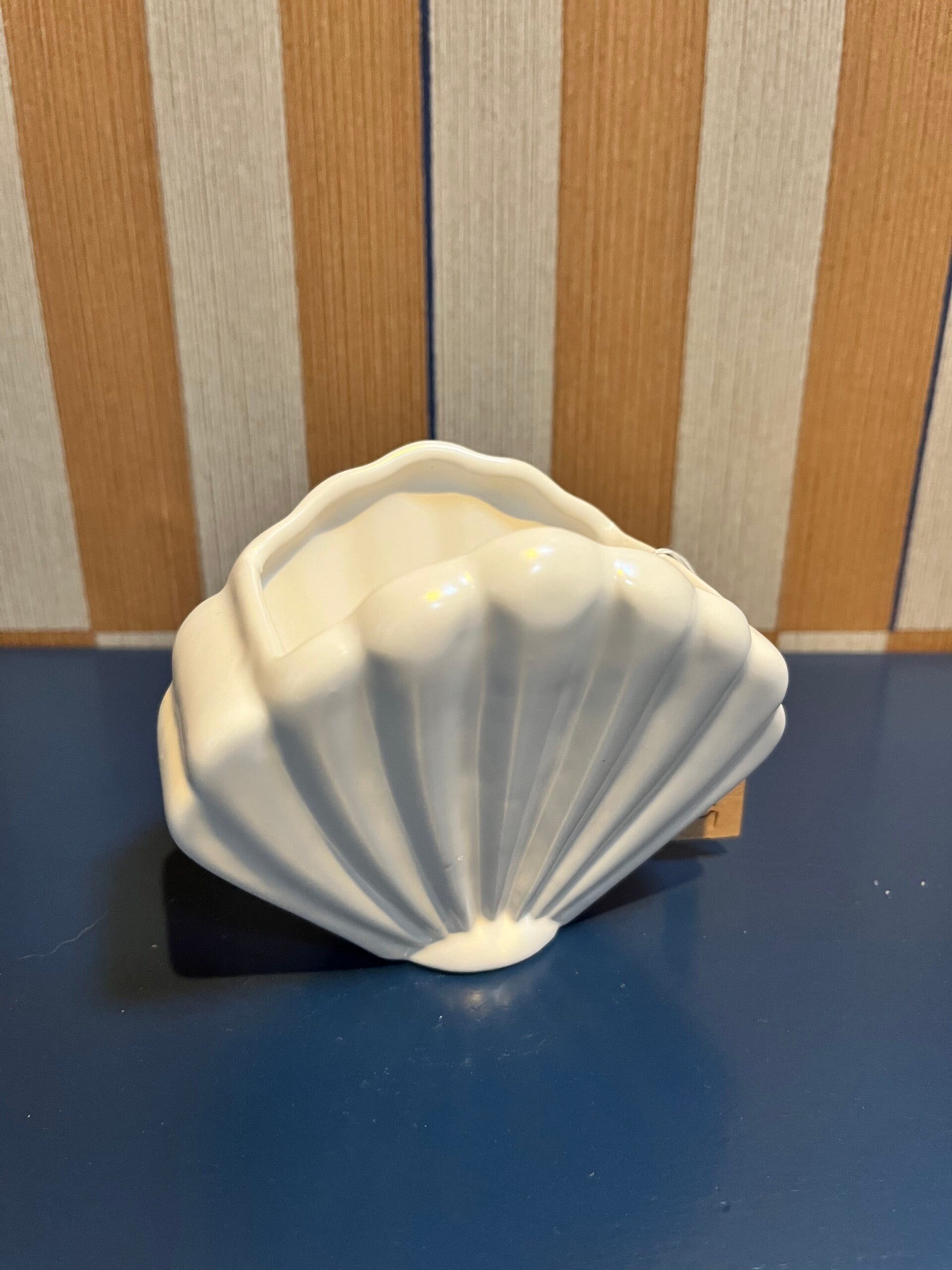 Bloempotje schelp wit