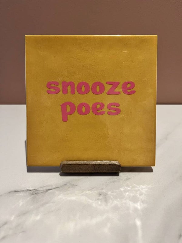 Tegel 'snooze poes'