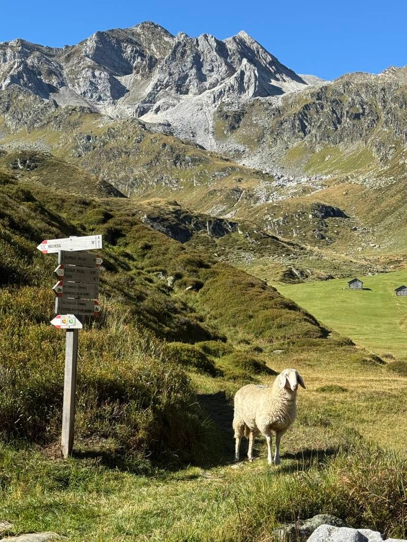 Motivationsvortrag Südtirol – Klaus Leider inspiriert Menschen zu Veränderung und Mut
