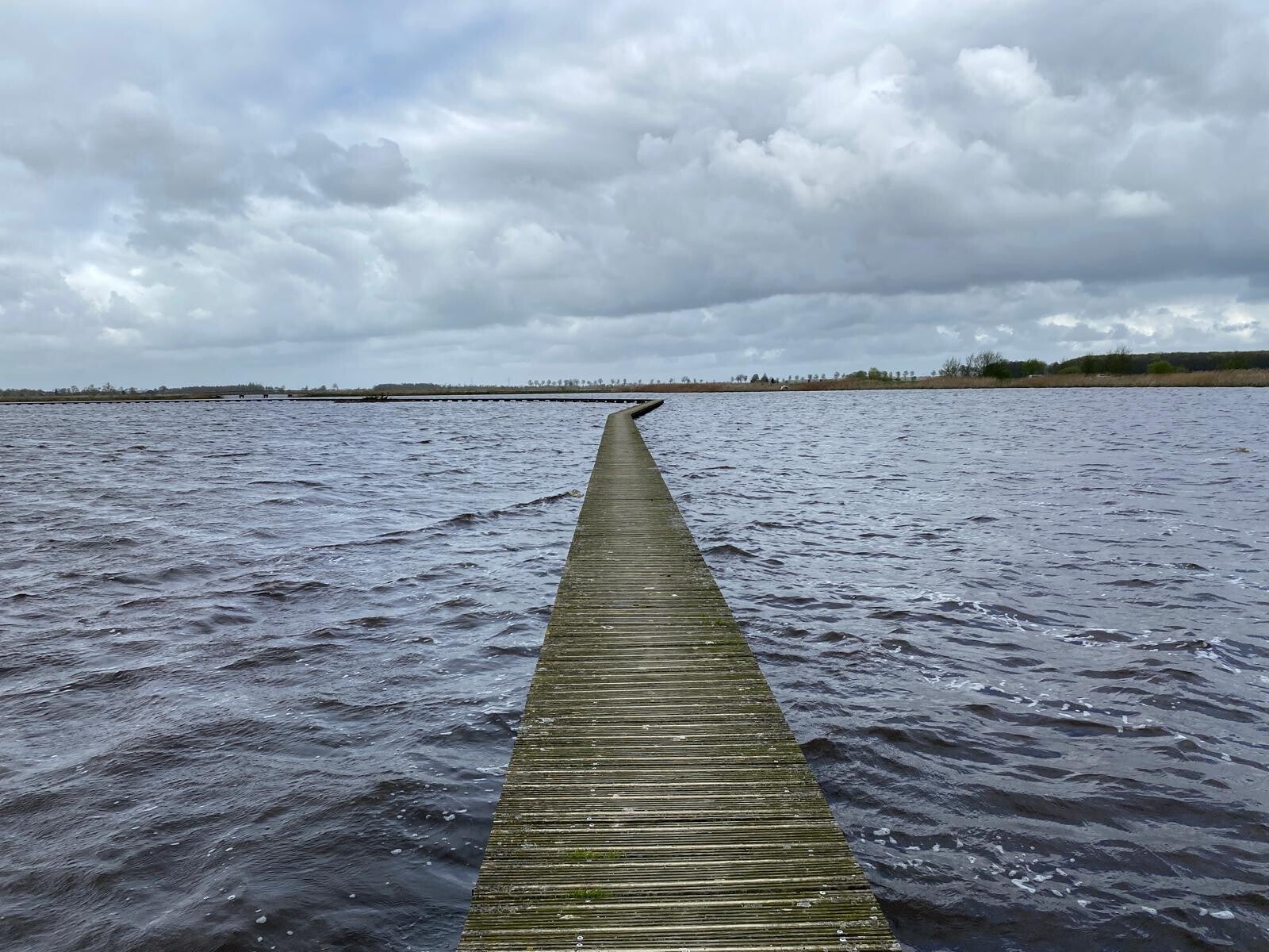 wandelen in de natuur jeff sloots vrije kop