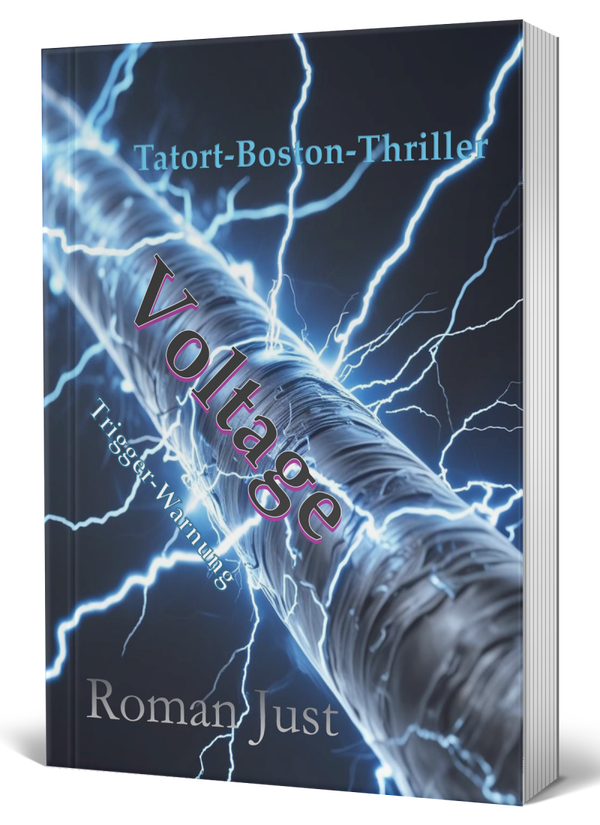 Voltage - Thriller - Taschenbuch