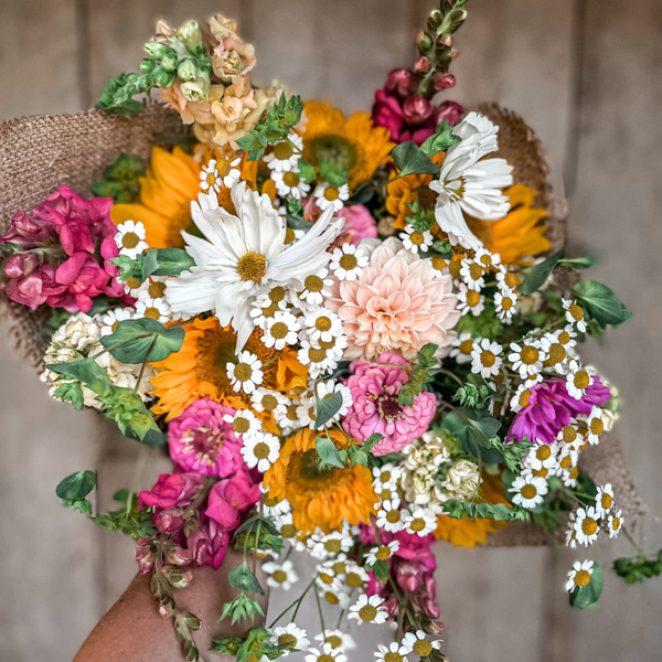 MIX  ZOMERBLOEMEKEE