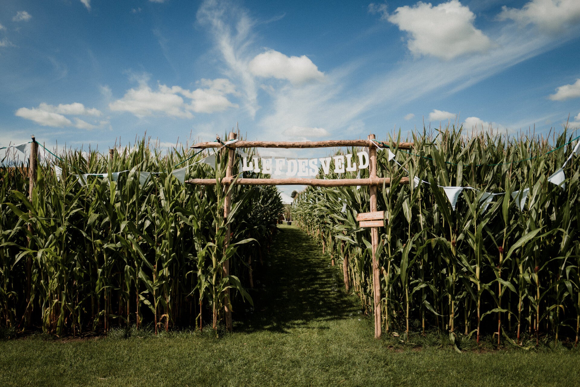 Liefdesveld met ingang in maïs