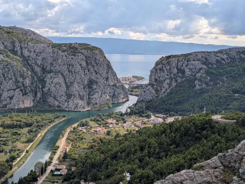 omis-01-standard-mhje9o.jpg