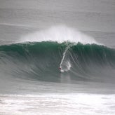 img_5704-standard.jpg