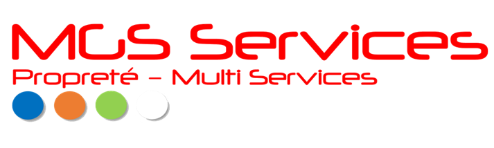 logo-mgs-services-sans-fond-standard-954qi7.png
