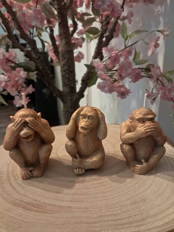 Bougies "Les singes de la sagesse"