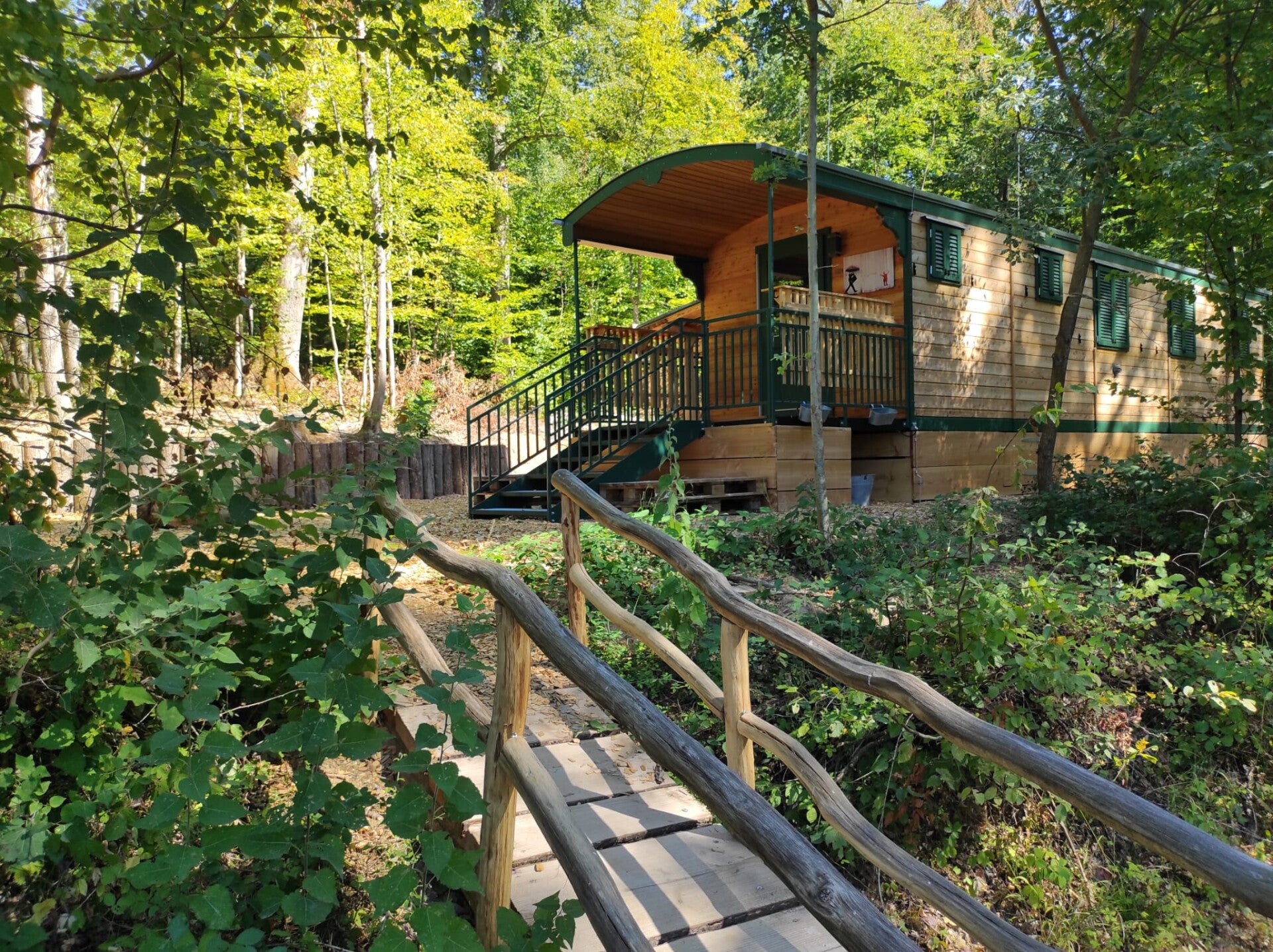 Einblick 1 – Waldkindergarten Waldhelden
