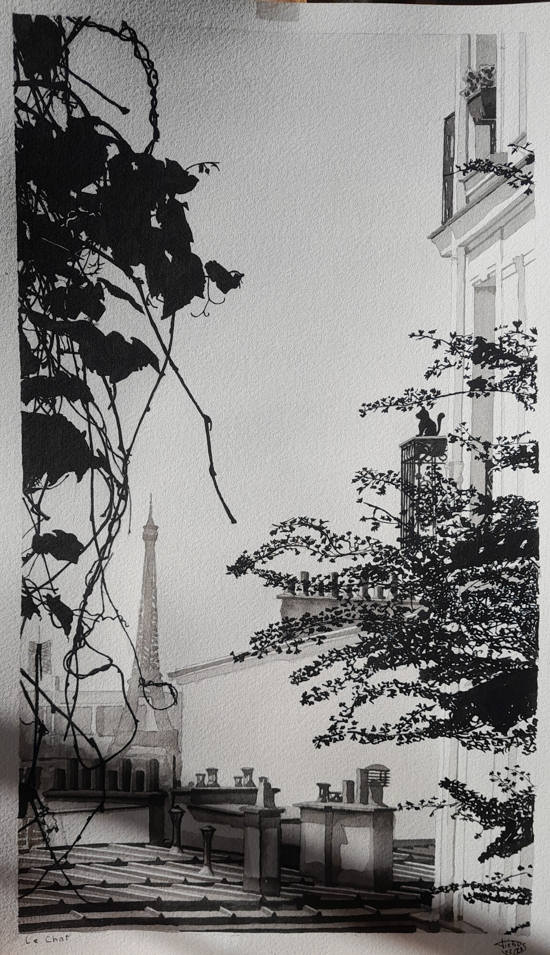 LE CHAT.