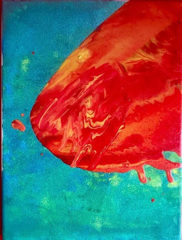 The Metior by Mason (age 9)