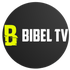 Bibelstudion