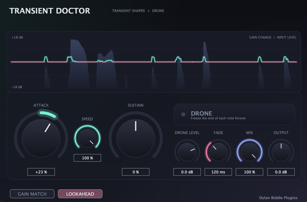 Transient Doctor