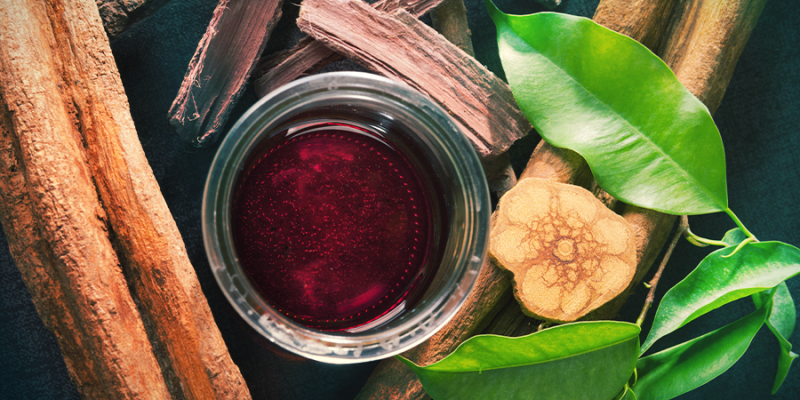 Ayahuasca ceremonie in Nederland 