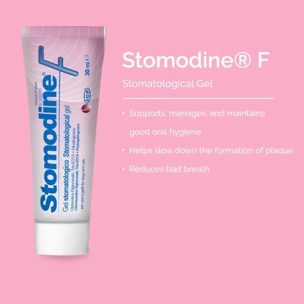 Stomodine F DenaTal Gel