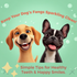 Fangtastic Ultrasonic Pet Dental