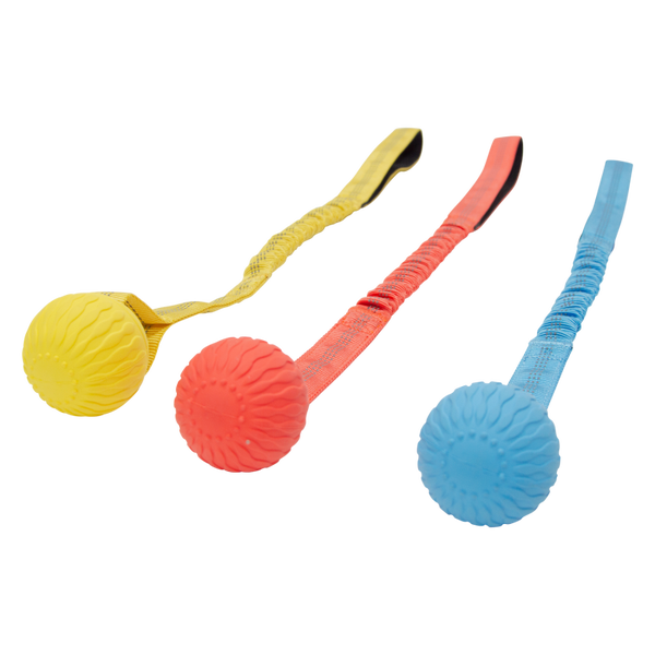 Playscent bungee bal