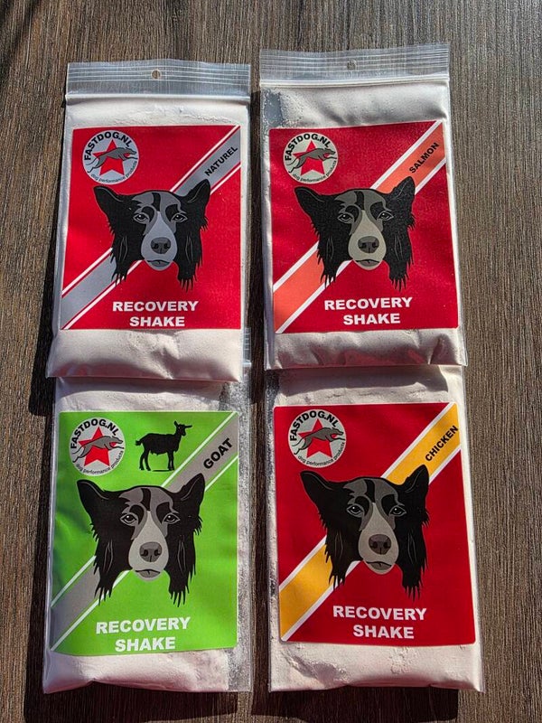 Fastdog proefverpakking Recovery shake