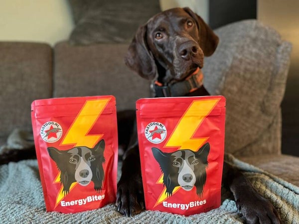 ACTIE: 2 Energy bites