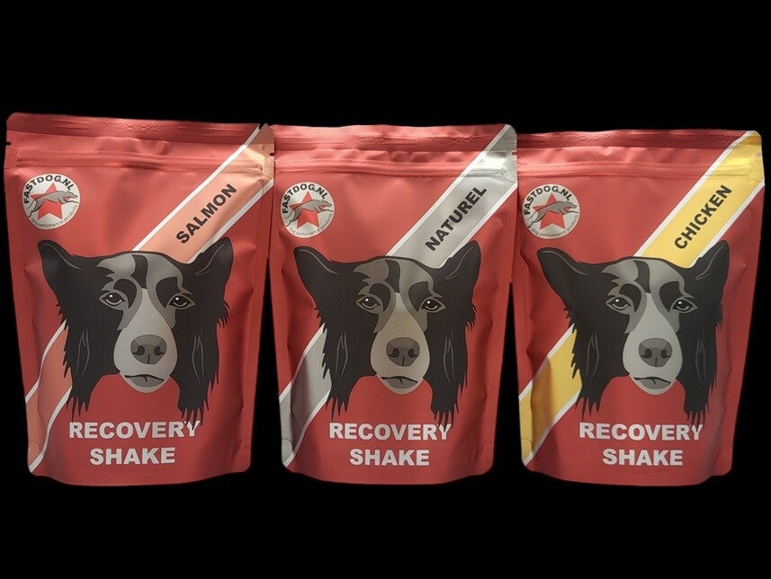 Fastdog Recovery Shake 500gr