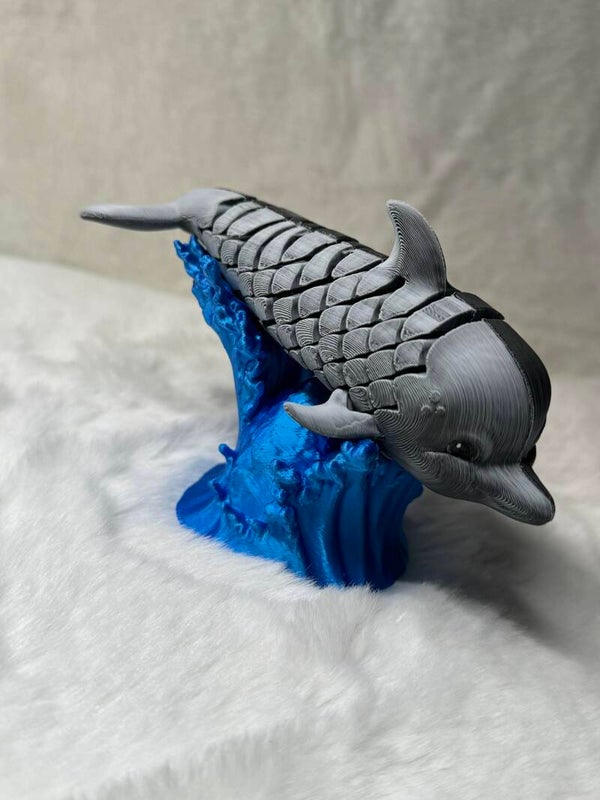 Dolly the Dolphin