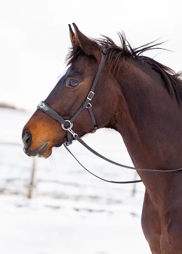 EDIX bridle ED2-Brightstar black