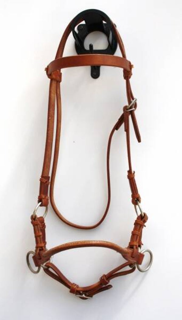 Side Pull - SINGLE LEATHER NOSEBAND - Harness Kopfstück