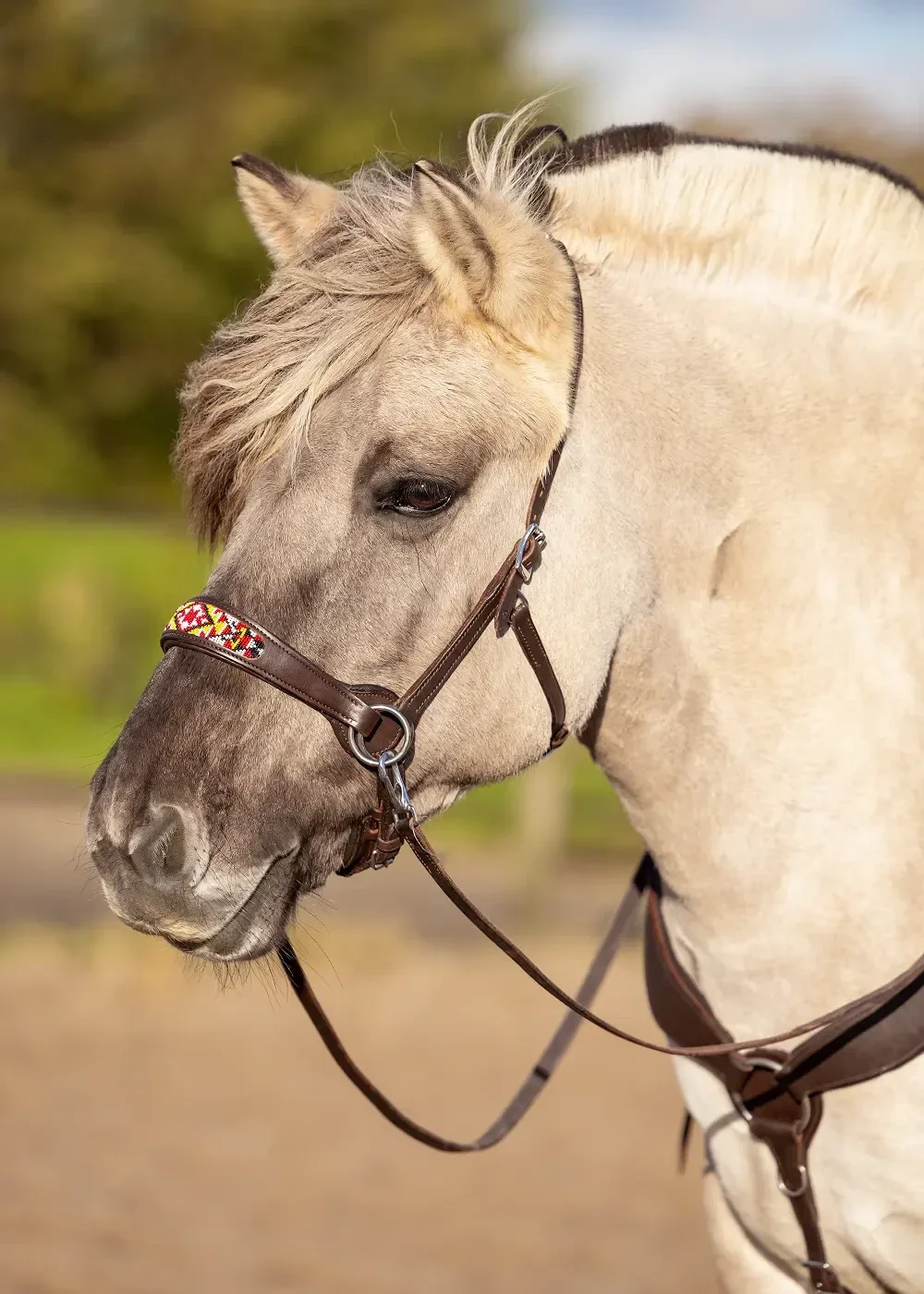 EDIX bridle ED2-Brightstar brown