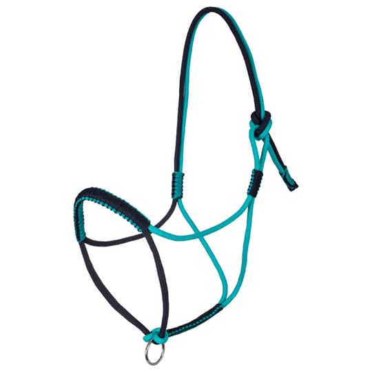 Pool's geflochtenes Knotenhalfter teal/NV