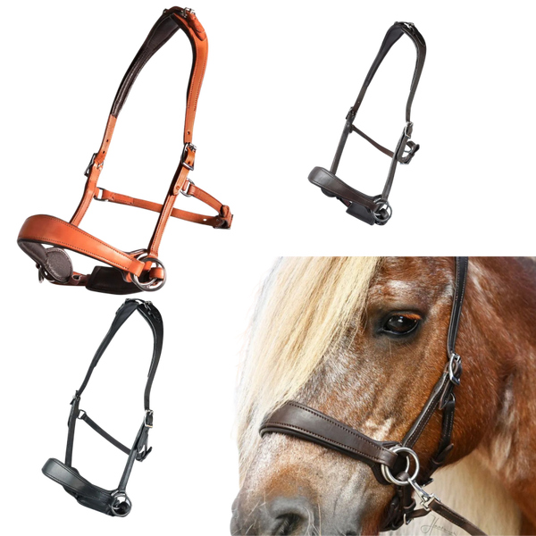 EDIX bridle ED2-Grace