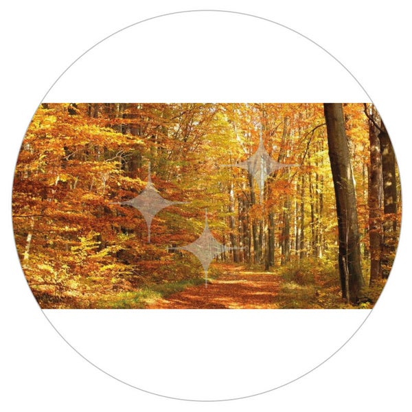 FotoDecorDoek 202 8x4 Herfst Pad