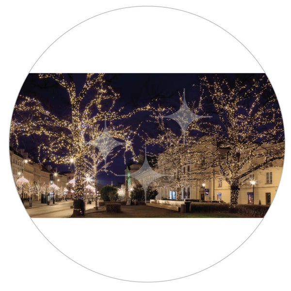 FotoDecorDoek 508 8x4 Verlichte bomen