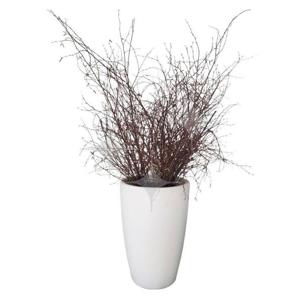 Berkentakken met lichtjes in witte vaas