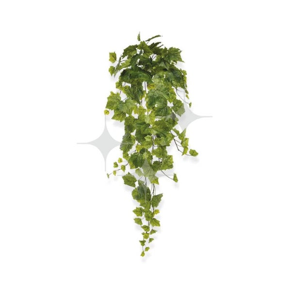 Druivenblad