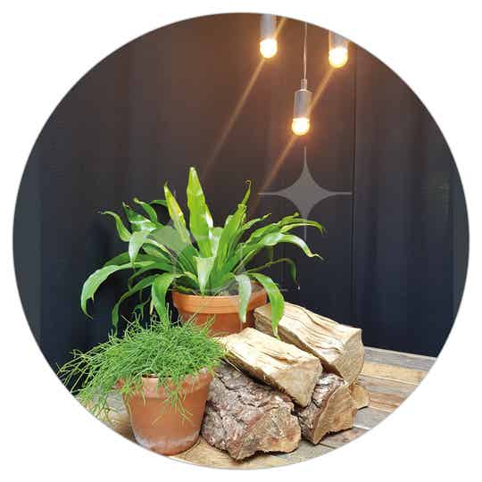 StelligStaal Deco Pakket 2: