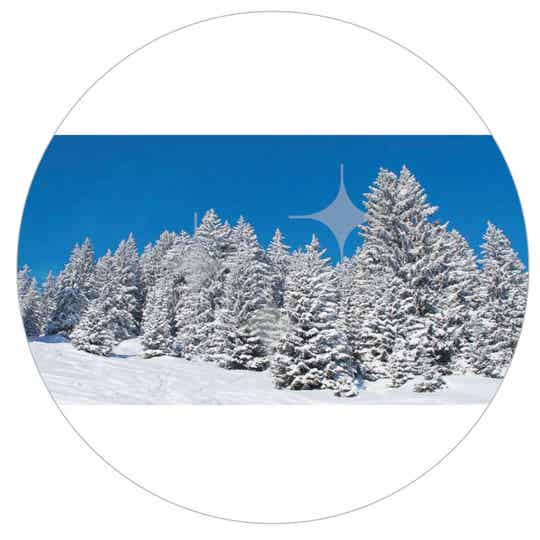 FotoDecorDoek 401 8x4 Bomen Sneeuw L