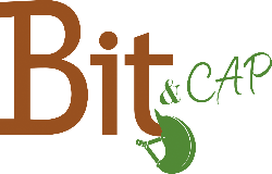 Bit & Cap