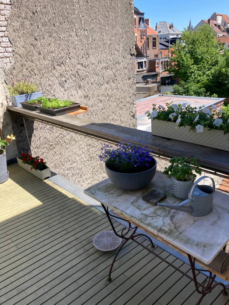 Extensie balustrade (verzinkte steunen + afzelia massief)